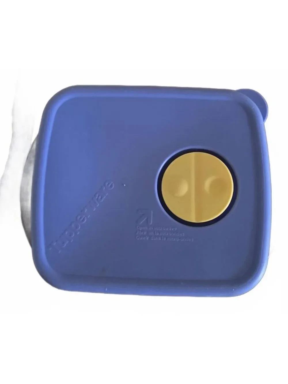 Tupperware vintage rock